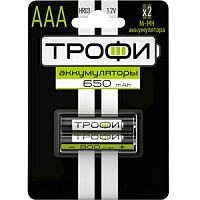 Аккумуляторы NiMH  Трофи HR03-2BL 650 mAh GREEN POWER (20/240/17280) (Б0019499)