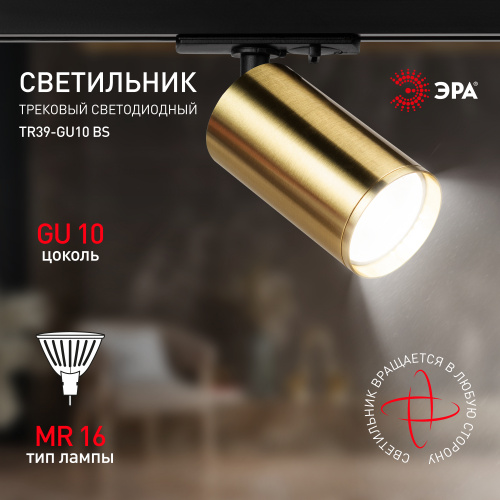 Трековый светильник однофазный ЭРА TR39-GU10 BS под лампу MR16 латунь (1/100) (Б0053311) фото 9