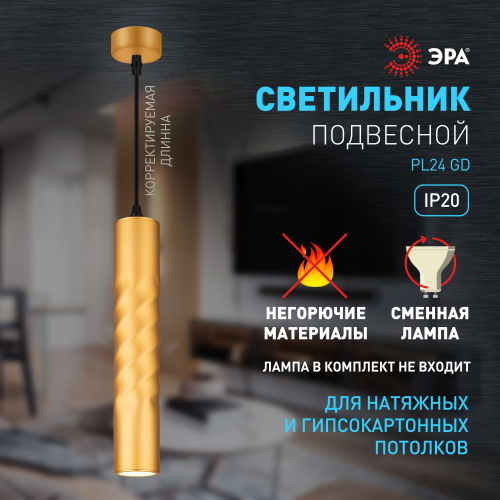 Cветильник ЭРА потолочный подвесной PL24 GD MR16 GU10 IP20 золото (1/25) (Б0059812) фото 9 Cветильник ЭРА потолочный подвесной PL24 GD MR16 GU10 IP20 золото (1/25) (Б0059812) фото 9
