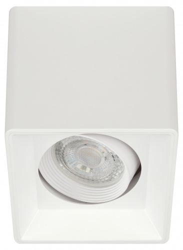 Светильник ЭРА настенно-потолочный спот OL24-1 WH MR16/GU5.3, белый, поворотный (1/50) (Б0054381) Светильник ЭРА настенно-потолочный спот OL24-1 WH MR16/GU5.3, белый, поворотный (1/50) (Б0054381)