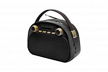Радиоприемник трёхдиапазонный RITMIX RPR-040 BLACK, Bluetooth v.5.3, USB флэш/microSD, MP3, вход USB Type-C, ручка для переноски, черный(1/18) (80004179)