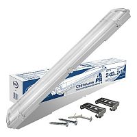 Светильник IONICH герметичный ILED-СПП600мм под лампы T8 2x10Вт 230В G13 IP65 (1/8) (1516)