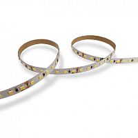 Лента светодиодная WOLTA Decor WLS2835-12W/6500/24H120-01 SMD2835 12Вт 6500К 24В IP20 120led/m 5000х8х1мм 1/100