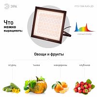 Фитопрожектор для растений светодиодный ЭРА FITO-150W-Ra90-LED полного спектра профессиональный 150 Вт (1/5) (Б0059880)