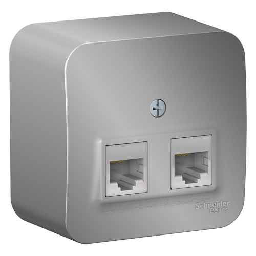 Розетка компьютерная 2-м О/У BLANCA RJ45 кат.5E с изолир. пластиной алюм. Systeme Electric BLNIA045453 (1/12/24)