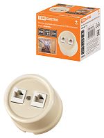Розетка TDM двойная компьютерная RJ45 сл. кость «Болонь» (1/72) (SQ1820-0351)
