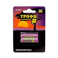 Аккумуляторы NiMH  Трофи HR03-2BL 950 mAh GREEN POWER (20/240/17280) (C0032097)