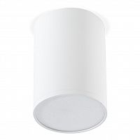 Светильник светодиодный SMARTBUY TS2010 70x100 мм накладной, 9 Вт 4000К, белый (SBL-TS2010-9W-4K-w) (1/50)