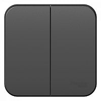 Выключатель 2-кл. О/У BLANCA 10А IP20 (сх. 5) 250В с изолир. пластиной антрацит Systeme Electric BLNVA105016 (1/15/30)