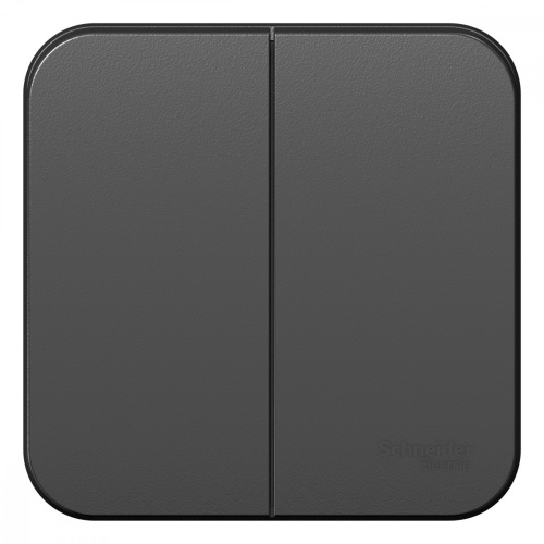 Выключатель 2-кл. О/У BLANCA 10А IP20 (сх. 5) 250В с изолир. пластиной антрацит Systeme Electric BLNVA105016 (1/15/30)