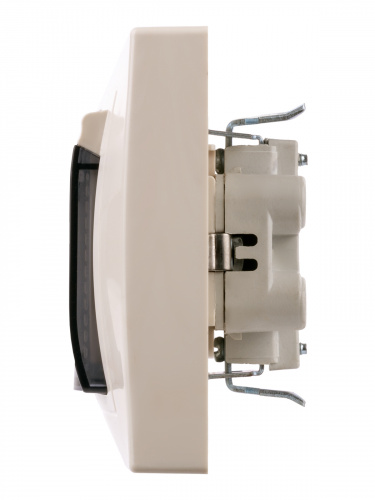 Розетка двойная 2П+З с защ. шт. и прозрачной крышкой 16А 250В IP44 сл. кость "Таймыр" (10/100) TDM (SQ1814-0177) фото 5 Розетка двойная 2П+З с защ. шт. и прозрачной крышкой 16А 250В IP44 сл. кость "Таймыр" (10/100) TDM (SQ1814-0177) фото 5