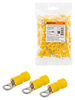 Наконечник НКИ с легким вводом проводника 5,5-4 кольцо 4-6мм (100шт) TDM (1/72) (SQ0502-0207)