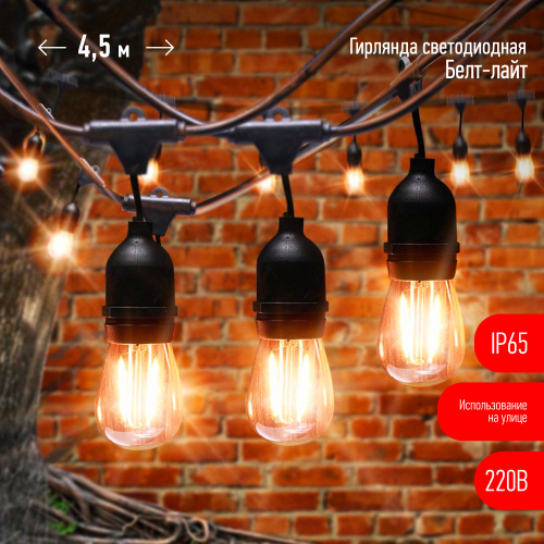 Гирлянда ЭРА Белт-Лайт ERABL-FIL1 уличная с патронами на подвесах для сменных ламп (10 ламп филамент в комплекте) 4,5м теплый белый 10 LED (1/16) (Б0056017) фото 2