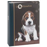 Image Art 038 IA -100PP животные (24/864)